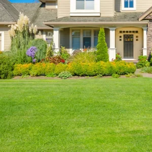Weatherproof Eco-Friendly High-Density Soft Synthetic Turf, 3cm Thick, REACH-Compliant, Frost-Resistant